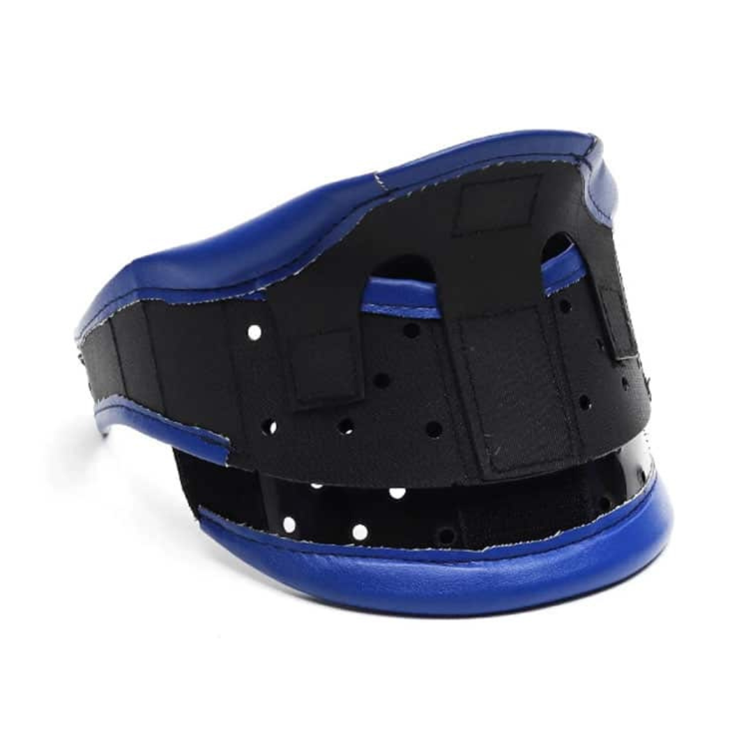 CASE COLLIER CERVICAL C3 MENTONNIER T2 REF NS 09